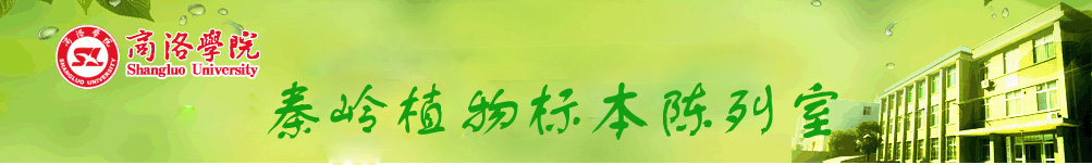 365英国上市官方网站